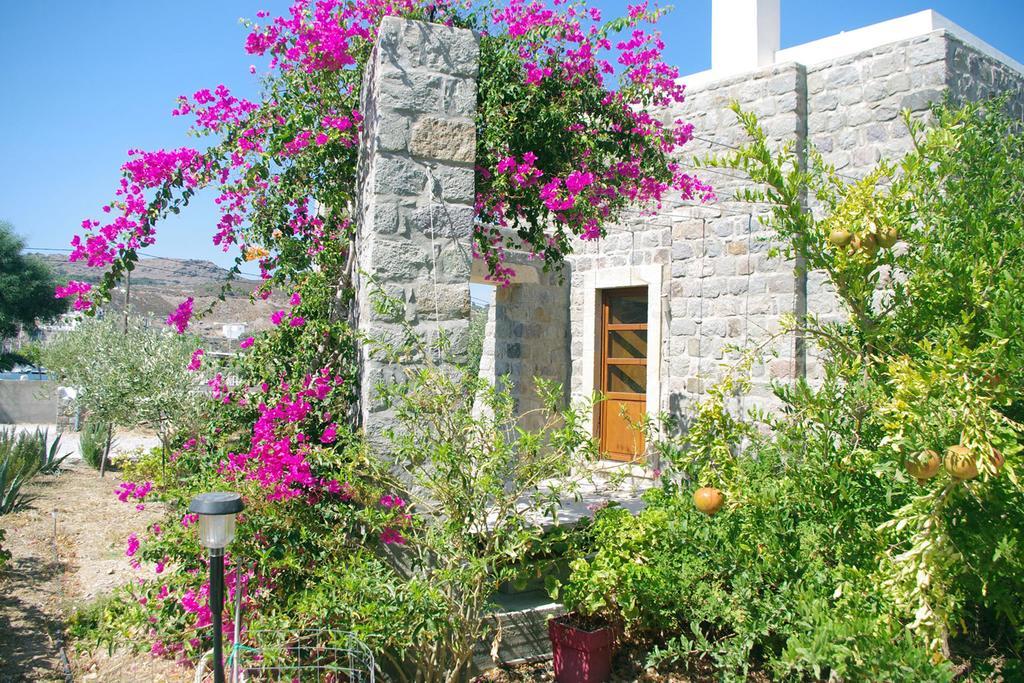 סקאלה Villa Patmos Netia מראה חיצוני תמונה