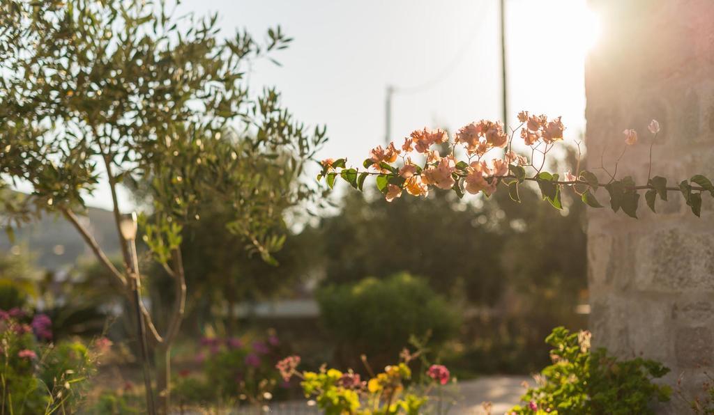 סקאלה Villa Patmos Netia מראה חיצוני תמונה