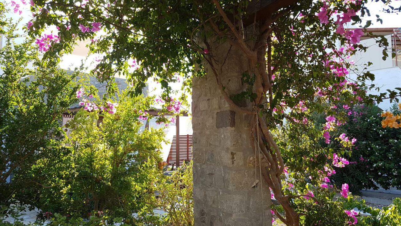 סקאלה Villa Patmos Netia מראה חיצוני תמונה